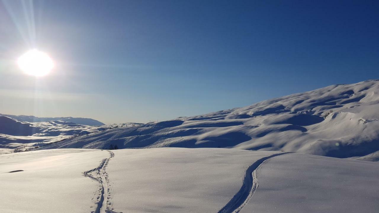 Timblalodgen Sogndal Exterior foto